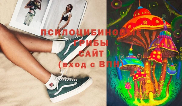 прущая мука Горняк
