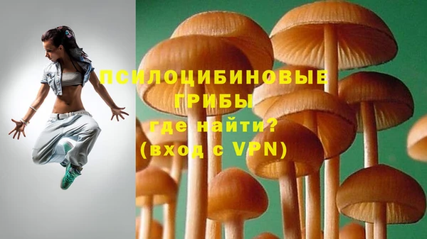 соль курить ск Горно-Алтайск